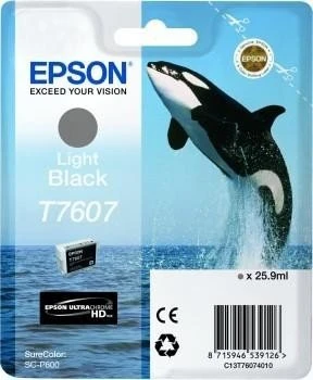 Epson Tinte T760