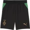 Puma Borussia Mönchengladbach 2026/2027 Trikot Vorschaubild