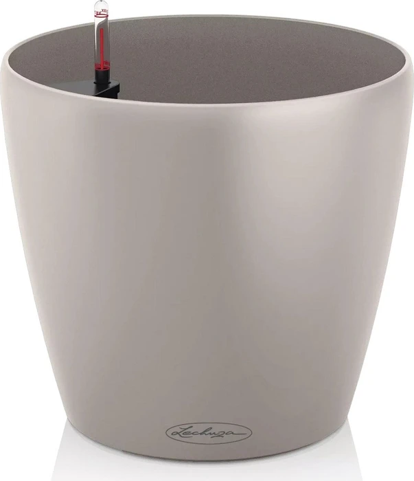 Lechuza Classico Color 21 muskat