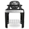 Weber Pulse 1000 Vorschaubild