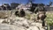 Call of Duty: Modern Warfare (2019) (Xbox One/SX) Vorschaubild