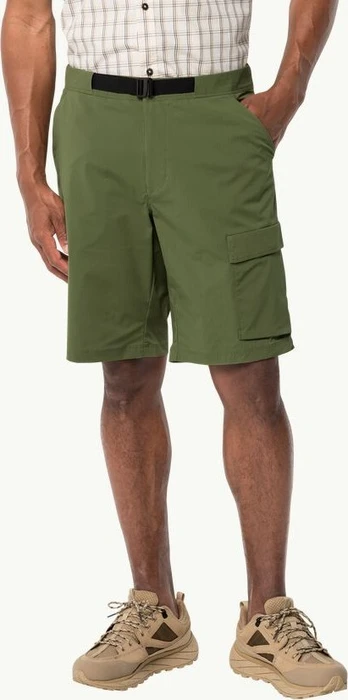 Jack Wolfskin Wanderthirst Shorts Hose kurz greenwood (Herren)
