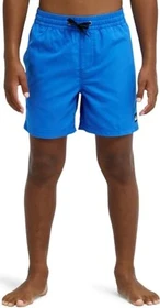 Quiksilver Everyday Volley 14" Badeshorts nebulas blue (Junior)
