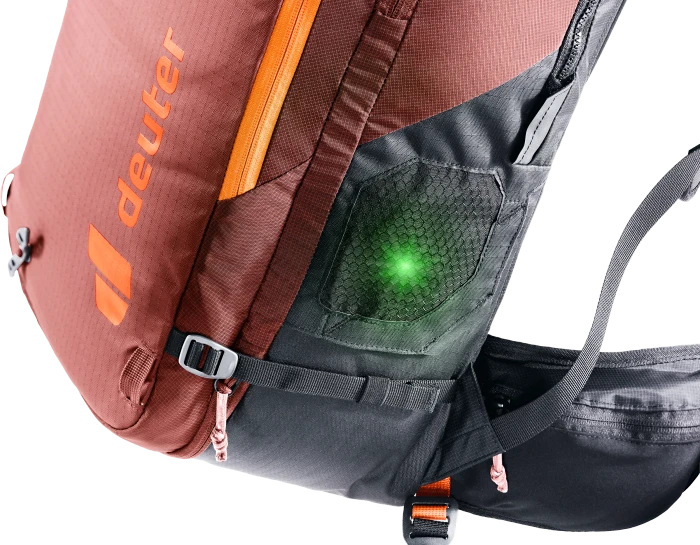 Deuter Alproof 30 SL redwood/black