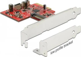 DeLOCK 2x intern 20-Pin Key-A USB 3.1, PCIe 3.0 x4 (89906)