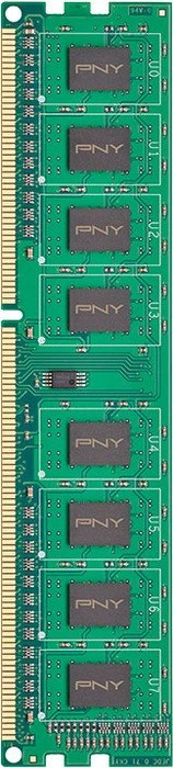 PNY UDIMM 8GB, DDR3-1600, CL11