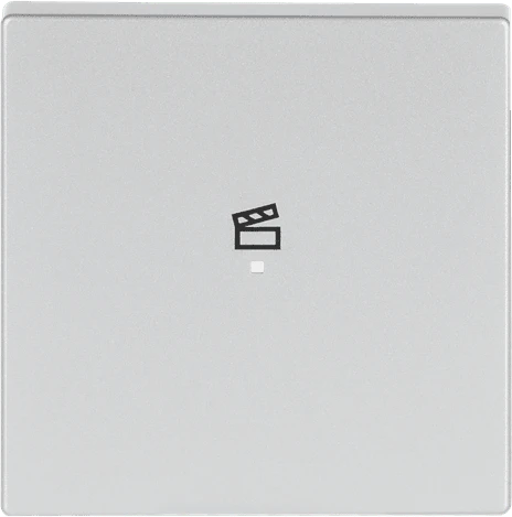 Busch-Jaeger Wippe 1-fach mit Symbol "Szene", alusilber