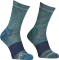Ortovox Alpine Mid Socken (Herren) Vorschaubild