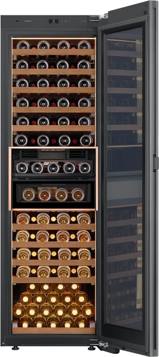 Samsung RR9000A RW33B99C5TF Bespoke
