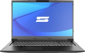Schenker Media AMD 17-E21, Ryzen 7 4800H, 8GB RAM, 250GB SSD, GeForce RTX 3060, DE (11000184)