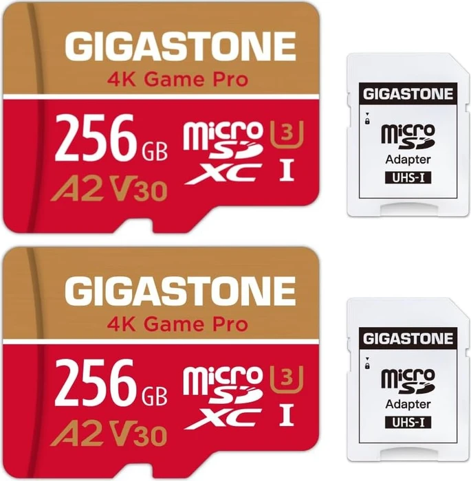 Gigastone 4K Game Pro R100/W60 256GB Kit, UHS-I U3, A2, Class 10, 2er-Pack