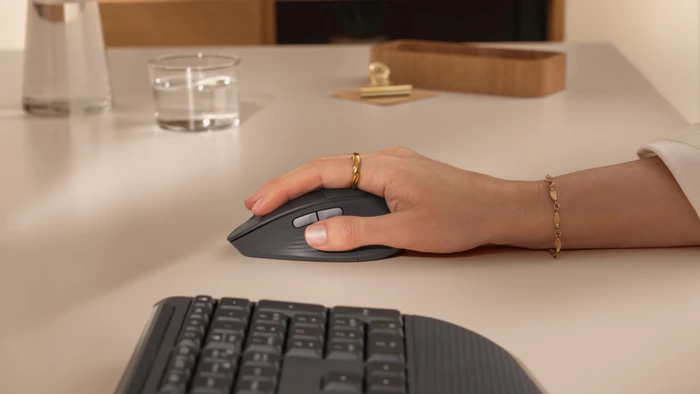 Logitech Signature Comfort Plus M850 L, Graphite, Logi Bolt, USB/Bluetooth