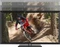 HP DreamColor Z31x, 31.1" Vorschaubild