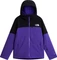 The North Face Freedom Skijacke (Herren) Vorschaubild