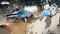 Need for Speed: Unbound (PS5) Vorschaubild
