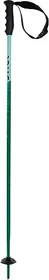 Völkl Phantastick JR Alpin Skistock grün (Junior) (Modell 2021/2022)