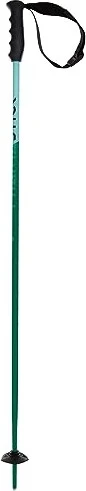 Völkl Phantastick JR Alpin Skistock (Junior) (Modell 2021/2022)