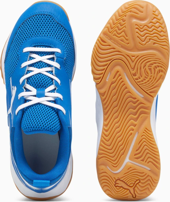 Puma Varion II Indoor blau/weiß (Junior)