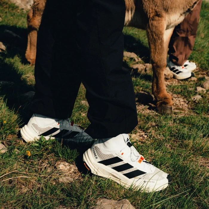 adidas Terrex Freehiker 3 Ultra Gore-Tex cloud white/core black/off white