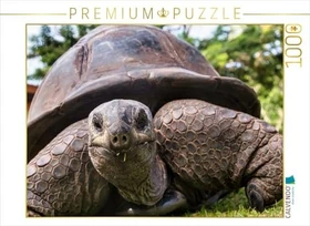Calvendo Eine der über 300 Seychellen-Riesenschildkröten auf Curieuse