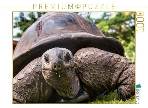 Calvendo Eine der über 300 Seychellen-Riesenschildkröten auf Curieuse