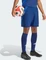 adidas Tiro 24 Competition Match Hose kurz team navy blue 2 (Herren) Vorschaubild