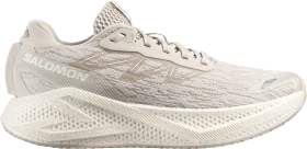 Salomon Aero Glide 4 silver cloud/white (Herren)
