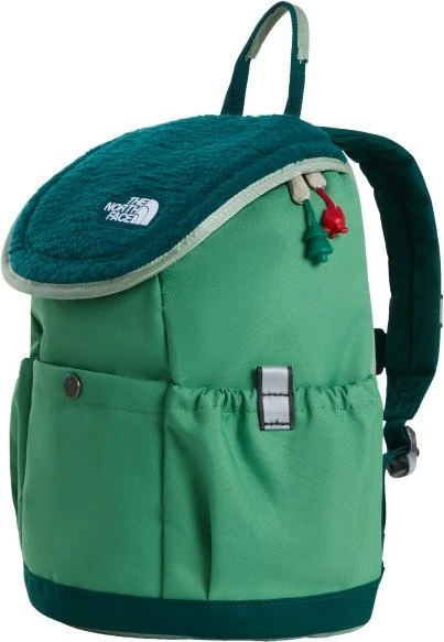 The North Face Mini Explorer dimmed algae/slate moss/pacific teal (Junior) (NF0A52VW-ZT0)