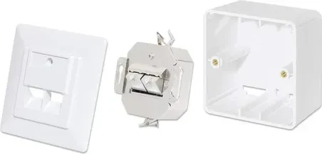 Intellinet 2-Port Cat6 10G RJ45-Netzwerkdose, geschirmt
