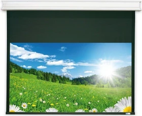 Deluxx Cinema Elegance Motorleinwand 340x225