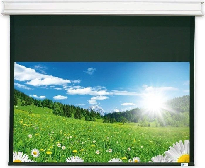 Deluxx Cinema Elegance Motorleinwand 340x225