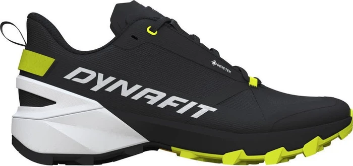 Dynafit Transalper 2 GTX (Herren)