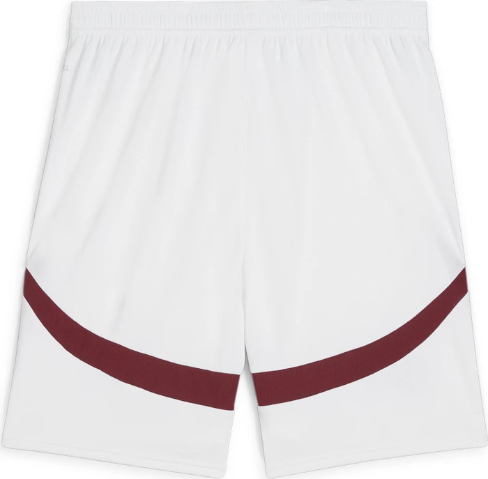 Puma UEFA EURO 2024 Schweiz Replica Shorts Hose puma white/team regal red (Herren)