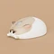 Akko x Waigua Cat Theme Wireless Mouse, Ragdoll Cat, USB Vorschaubild
