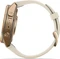 Garmin Fenix 9 Pro 43mm autumn gold titanium/cream-french grey Vorschaubild
