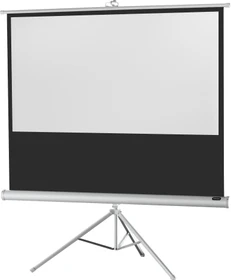 Celexon Stativleinwand Economy White Edition 244x138cm