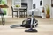 Philips FC9747/09 PowerPro Expert Vorschaubild