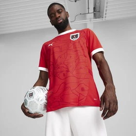 Puma UEFA EURO 2024 Österreich Heimtrikot (Herren)