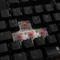 Ducky One 2 RGB TKL PBT, LEDs RGB, schwarz, MX SILENT RGB RED, USB, DE Vorschaubild