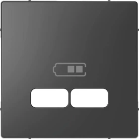 Merten System Design Zentralplatte für USB Ladestation-Einsatz, anthrazit