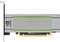 PNY NVIDIA Tesla T4 Vorschaubild