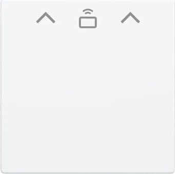 Busch-Jaeger Busch-balance SI Tastersymbol transparent neutral