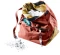Deuter Gravity Boulder Chalkbag redwood/clay Vorschaubild