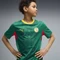 Puma FIFA WM 2026 Senegal Auswärtstrikot kurzarm wild green/puma red (Junior) Vorschaubild