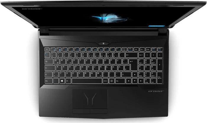 Medion Erazer P6705, Core i7-8750H, 8GB RAM, 256GB SSD, 1TB HDD, GeForce GTX 1050 Ti, DE