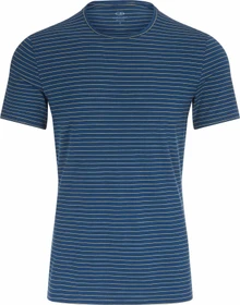 Icebreaker Anatomica Crewe Funktionsshirt kurzarm prussian blue/ginger stripe (Herren)