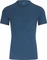Icebreaker Anatomica Crewe Funktionsshirt kurzarm prussian blue/ginger stripe (Herren) Vorschaubild