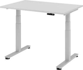 Hammerbacher Ergonomic Aktiv XDSM12/5/S elektrisch höhenverstellbarer Sitz-Steh-Schreibtisch 120x80cm grau/silber