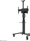 Neomounts FL50S-825BL1 Vorschaubild