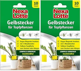 Evergreen Garden Care Nexa Lotte Gelbstecker für Topfpflanzen, 10 Stück